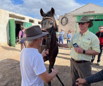 horse stable at Chami Domaines in Fez